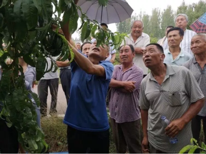QQ截图20190718095258.png