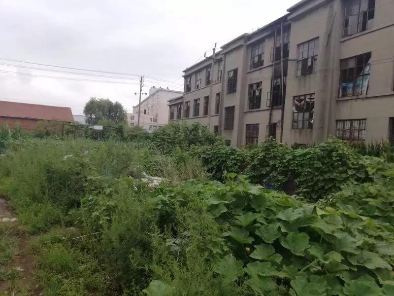 微信图片_20191107171201.jpg