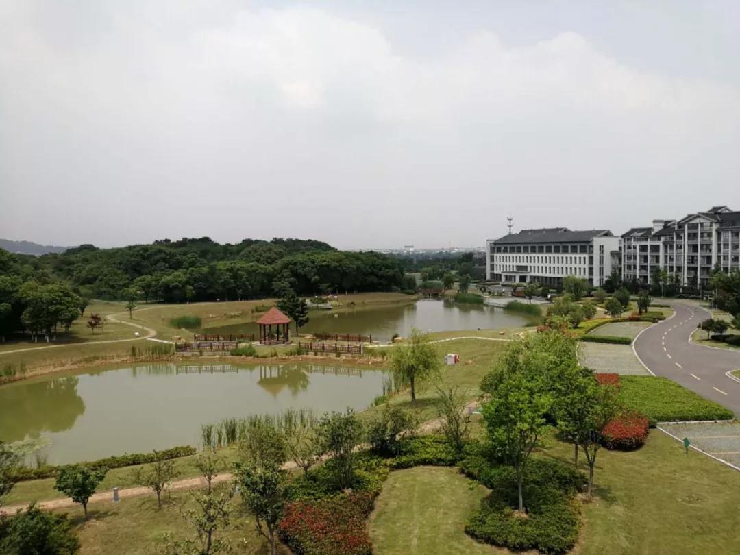 微信图片_20191114170302.jpg