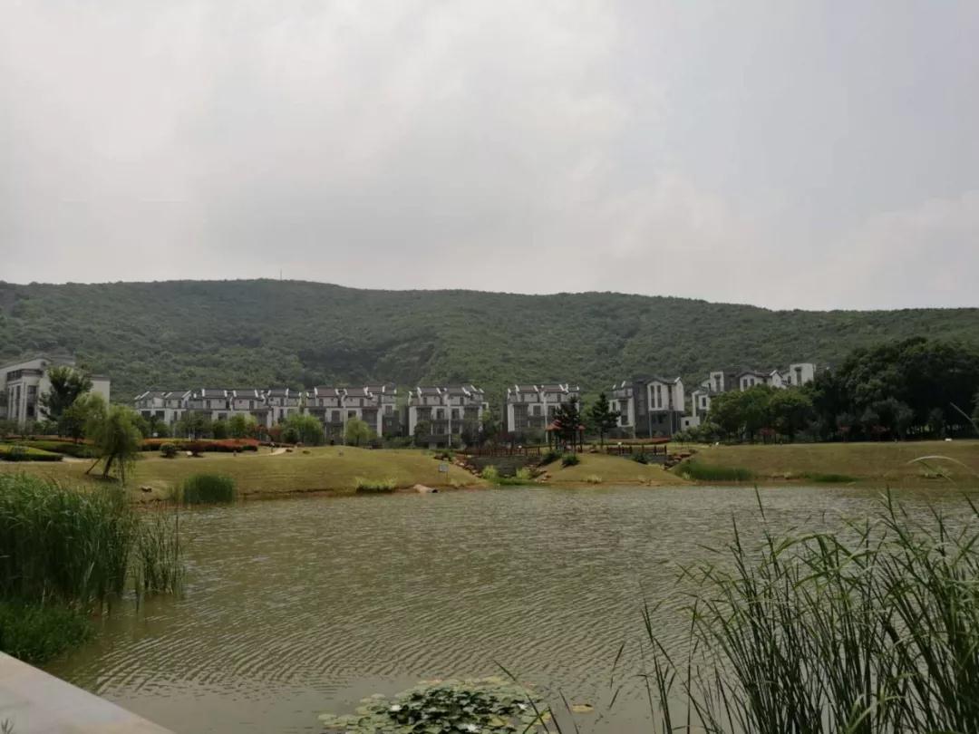 微信图片_20191114170308.jpg