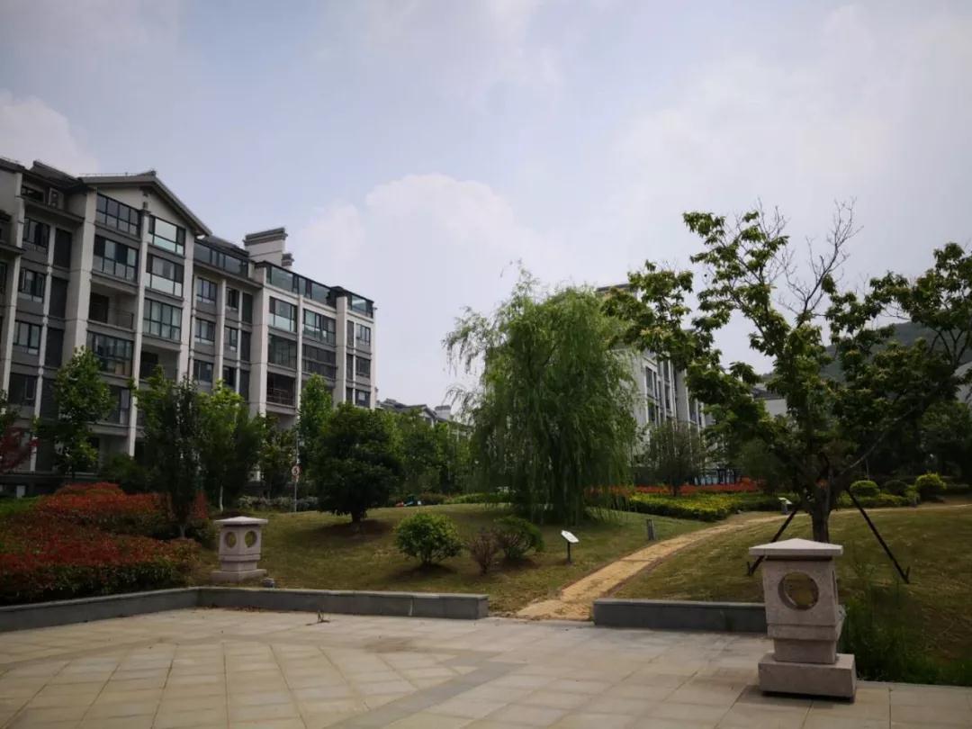微信图片_20191114170324.jpg