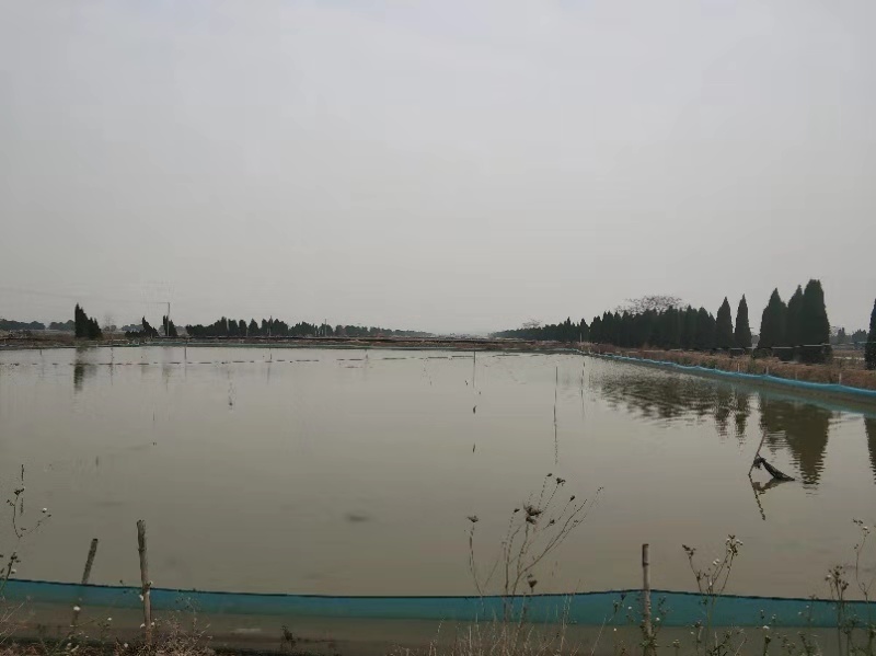 微信图片_20191218083908.jpg 微信图片_20191218083908.jpg