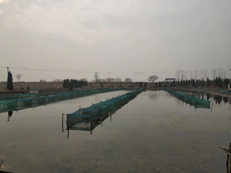 微信图片_20191218083911.jpg 微信图片_20191218083911.jpg